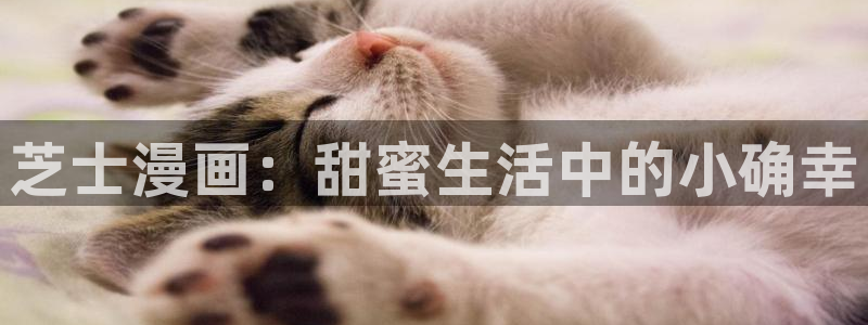 包子漫画入口页面在哪里