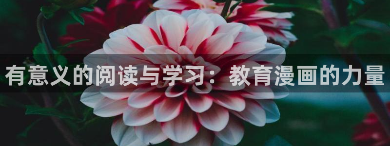 包子漫画官网app下载