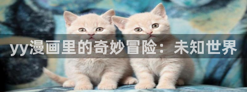 包子漫画漫画入口页面